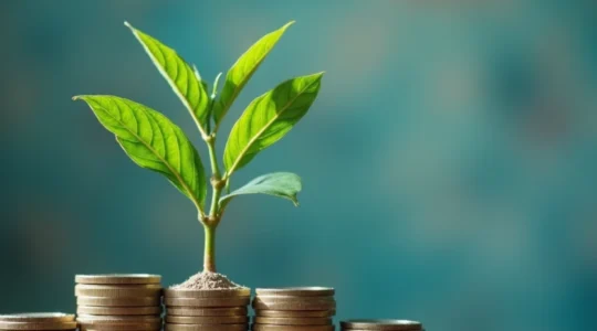 apports-en-nature-dans-une-sarl-regles-et-evaluation